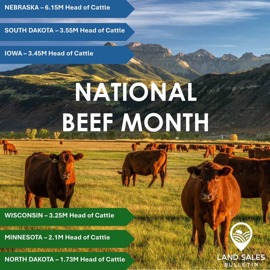 Our top ranked Head of Cattle Midwest reporting states