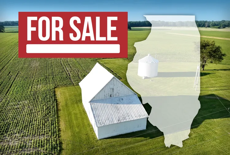August Illinois Farmland Auctions: 1,600+ Acres Coming to Market